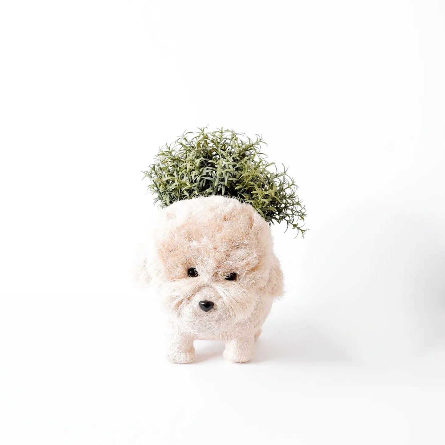 Poodle Planter - Coco Coir Pots | LIKHÂ
