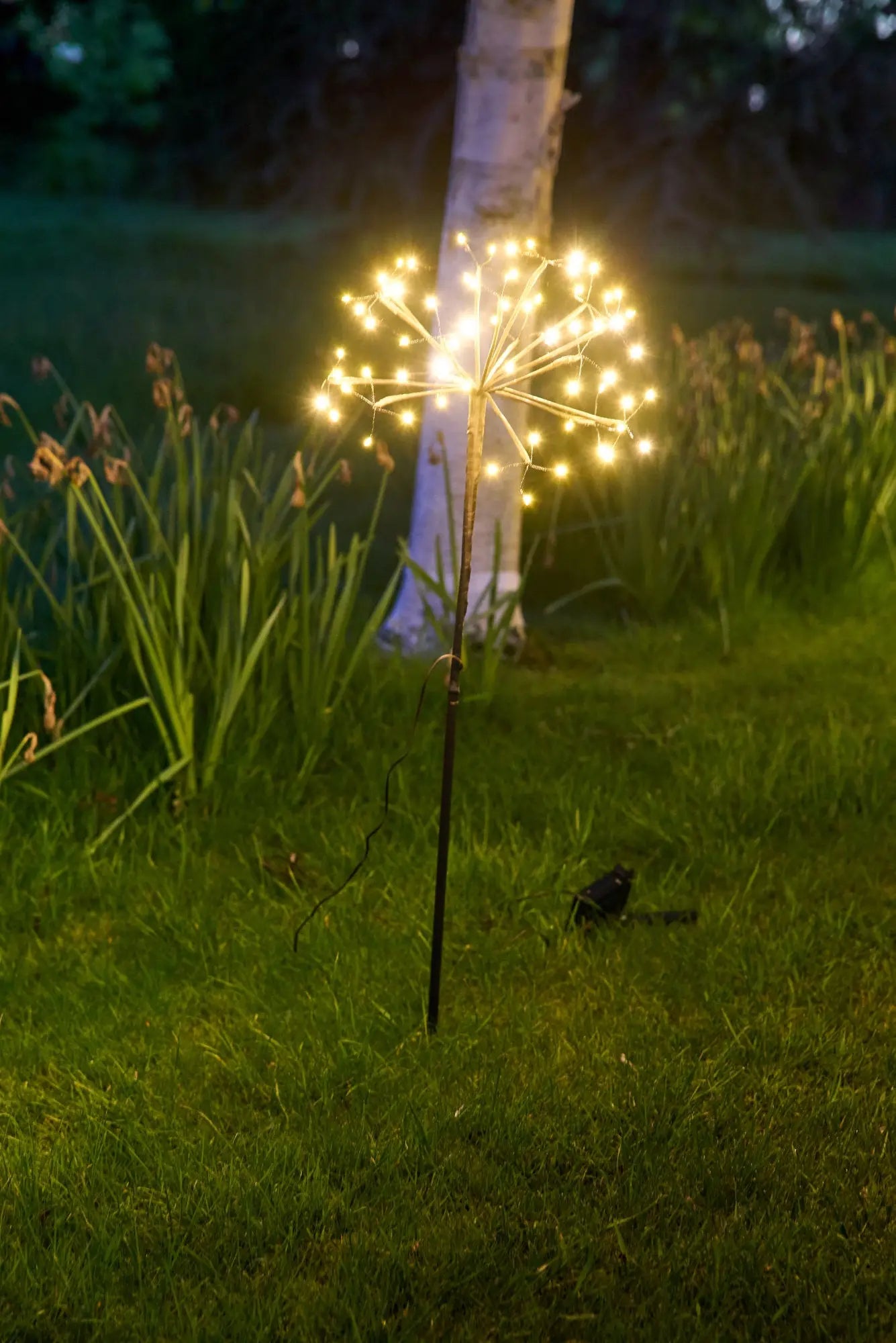 Solar Dandelion Light