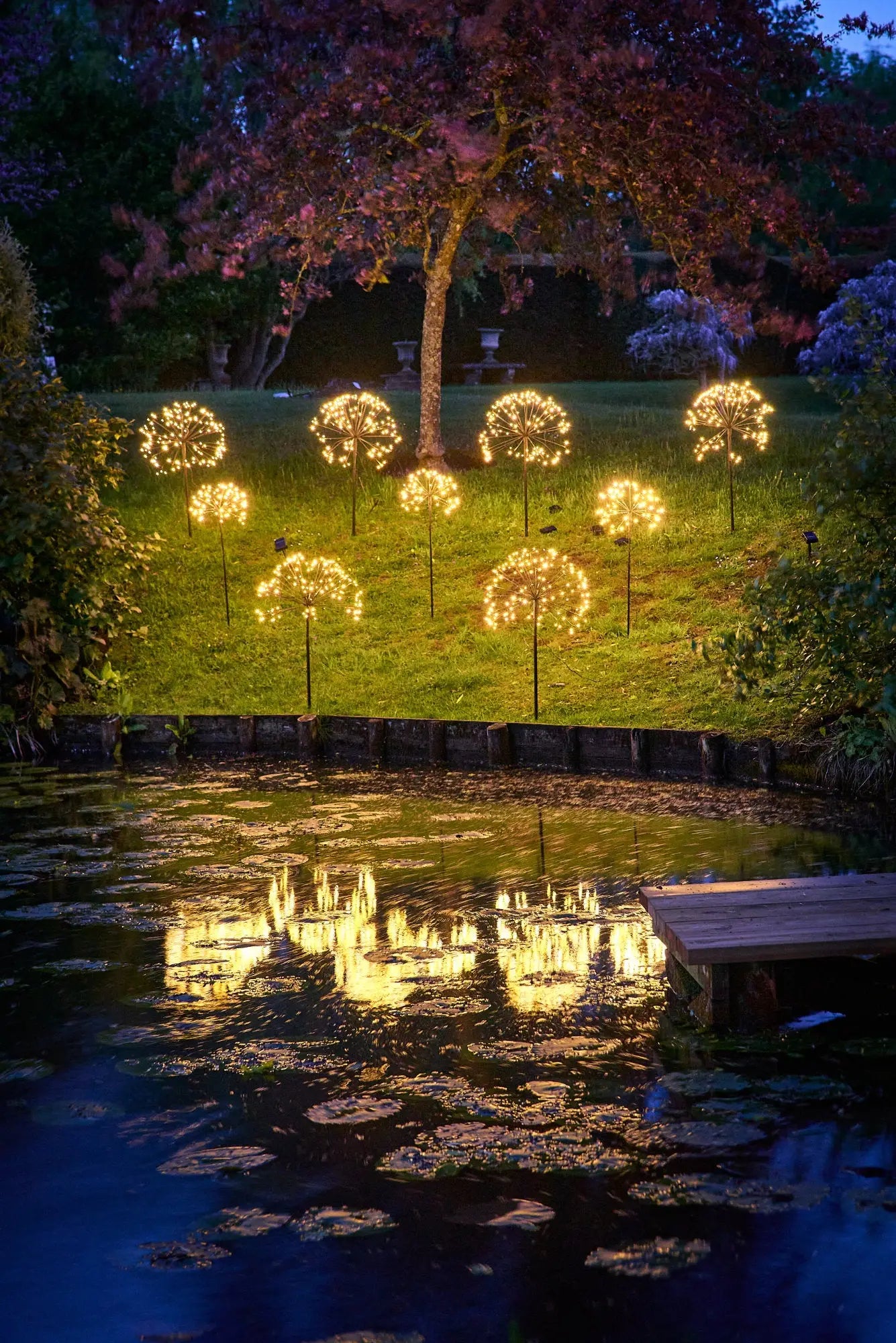 Solar Dandelion Light